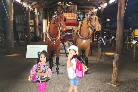 Historic Village Herberton, Kuranda Village And The Skyrail Rainforest Cableway - Accommodation in Surfers Paradise 8