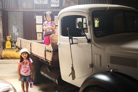 Historic Village Herberton, Kuranda Village And The Skyrail Rainforest Cableway - Accommodation in Surfers Paradise 5