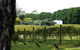 Hens Party Winery Tour - thumb 6