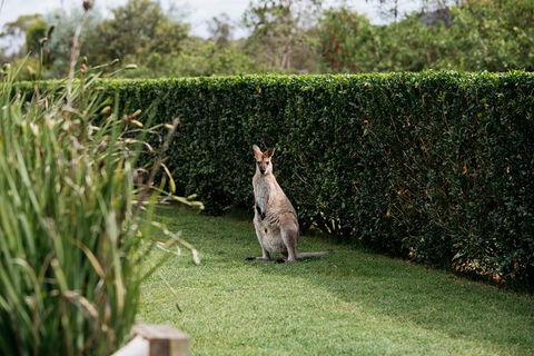 Local Wine Discovery - Accommodation in Surfers Paradise 1