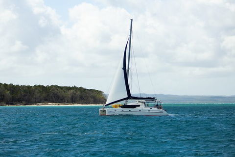Bareboat Hire - Cattitude 7 Nights - Accommodation in Surfers Paradise 3