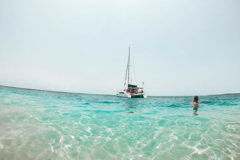 5 Night Bareboat Onboard Cattitude - Accommodation in Surfers Paradise 4