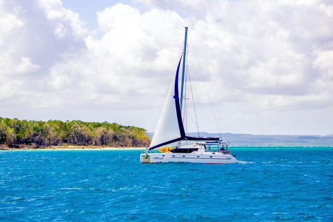 5 Night Bareboat Onboard Cattitude - Accommodation in Surfers Paradise 0