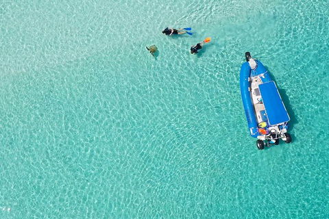 Remote Fraser Island & Whale Experience - Accommodation in Surfers Paradise 0