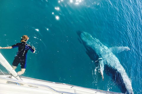 Remote Fraser Island & Whale Experience - Accommodation in Surfers Paradise 4