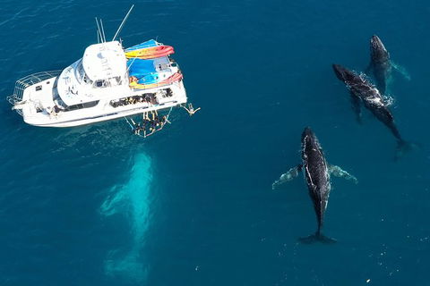Remote Fraser Island & Whale Experience - Accommodation in Surfers Paradise 3