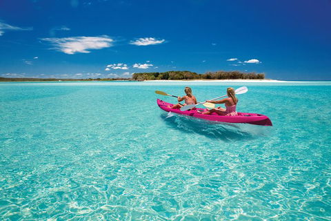 Remote Fraser Island & Whale Experience - Accommodation in Surfers Paradise 5