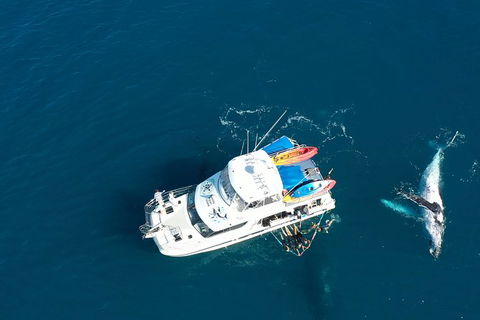 Remote Fraser Island & Whale Experience - Accommodation in Surfers Paradise 1