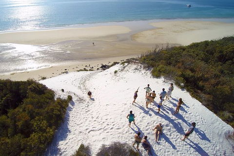 Remote Fraser Island & Whale Experience - Accommodation in Surfers Paradise 2