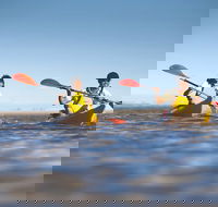 Kangaroo Island Self-Guided Kayaking on the Harriet River - Accommodation in Surfers Paradise