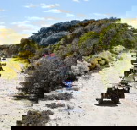 Quad Bike ATV Tours - Accommodation in Surfers Paradise