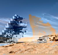 Kangaroo Island Luxury Small Group 'Flinders Chase Focus' Full Day Tour - Accommodation in Surfers Paradise