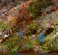 3-Night Wilpena Pound Getaway Including Scenic Flight and 4WD Tour - Accommodation in Surfers Paradise