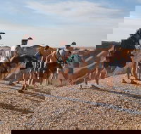 4 Day Adelaide to Coober Pedy Adventure - Accommodation in Surfers Paradise