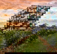 d'Arenberg Cube / McLaren Vale Regional Tour - Accommodation in Surfers Paradise