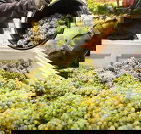 Adelaide Hills Wineries  Hahndorf - Accommodation in Surfers Paradise