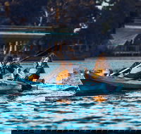 Adelaide City Kayak Tour - Accommodation in Surfers Paradise