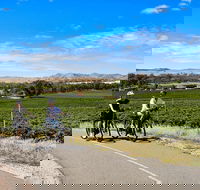 E-Bike Hire  Barossa Valley - Accommodation in Surfers Paradise