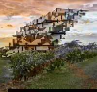 8-Hour McLaren Vale Winery Tour from Adelaide - Accommodation in Surfers Paradise