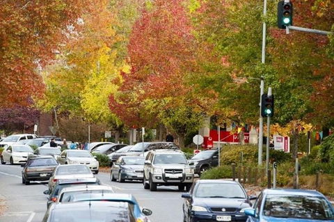 Adelaide Hills Full Day Winery Tour With Tastings - Accommodation in Surfers Paradise 3