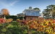 Adelaide Hills Full Day Winery Tour With Tastings - thumb 0