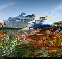 Adelaide Hills Full Day Winery Tour with Tastings - Accommodation in Surfers Paradise