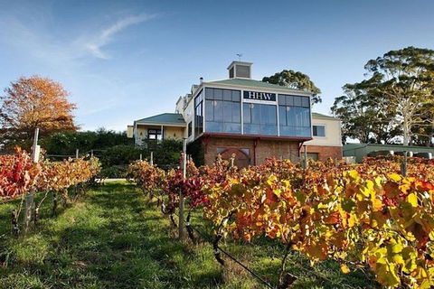 Adelaide Hills Full Day Winery Tour With Tastings - Accommodation in Surfers Paradise 0