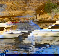 Delightful Murray River Cruises including Lunch - Accommodation in Surfers Paradise