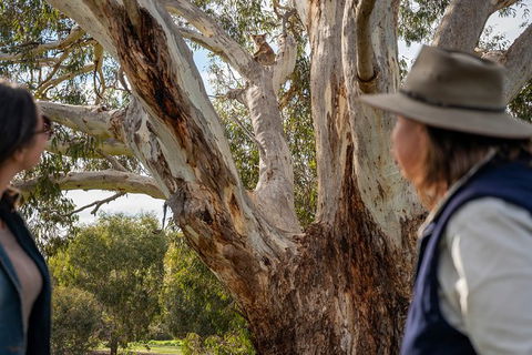 NEW TOUR - Kangaroo Island Road To Recovery Tour (1 Day/1 Night) - Accommodation in Surfers Paradise 2