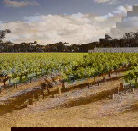 Private Langhorne Creek Wine Region Tour from Adelaide - Accommodation in Surfers Paradise
