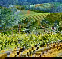 Adelaide Hills Private Day Tour - Accommodation in Surfers Paradise