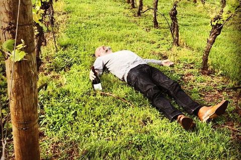 Tamar Valley Wine Tours - Accommodation in Surfers Paradise 28