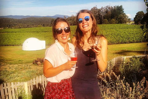Tamar Valley Wine Tours - Accommodation in Surfers Paradise 10