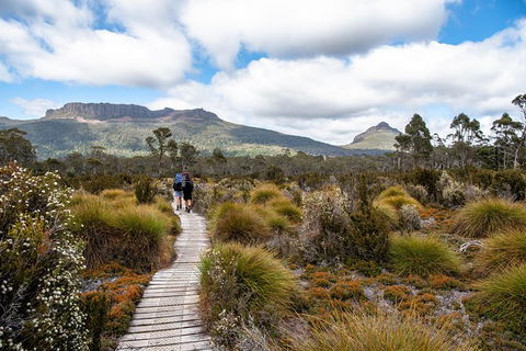 Cradle Mountain Day Tour - Accommodation in Surfers Paradise 0