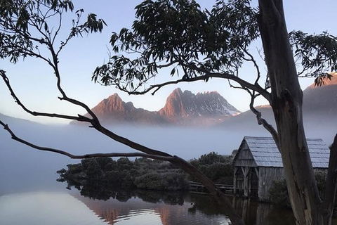 Cradle Mountain Park Explorer - Accommodation in Surfers Paradise 7
