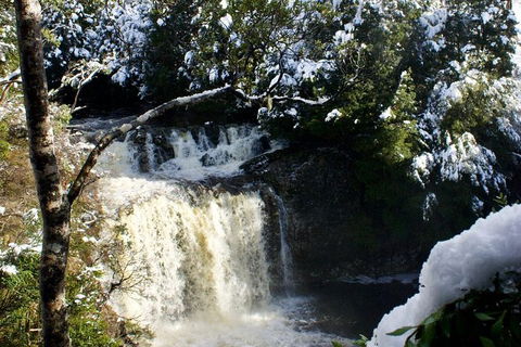 Cradle Mountain Park Explorer - Accommodation in Surfers Paradise 1