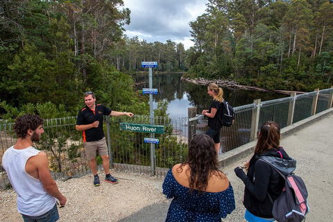 Tahune Airwalk Active Day Trip From Hobart Including Hastings Caves - Accommodation in Surfers Paradise 3