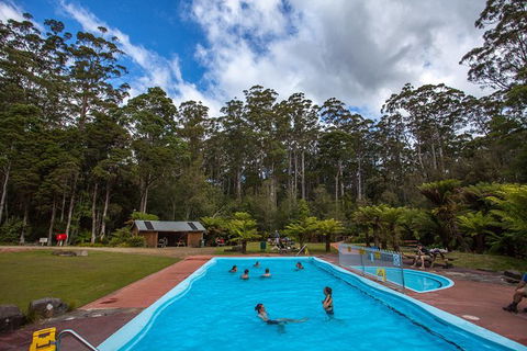 Tahune Airwalk Active Day Trip From Hobart Including Hastings Caves - Accommodation in Surfers Paradise 2