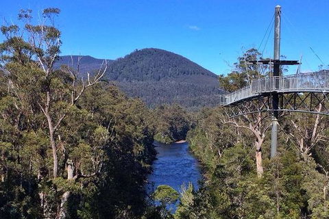 Tahune Airwalk Active Day Trip From Hobart Including Hastings Caves - Accommodation in Surfers Paradise 6
