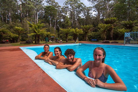 Tahune Airwalk Active Day Trip From Hobart Including Hastings Caves - Accommodation in Surfers Paradise 4