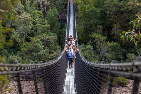 Tahune Airwalk Active Day Trip From Hobart Including Hastings Caves - Accommodation in Surfers Paradise 0