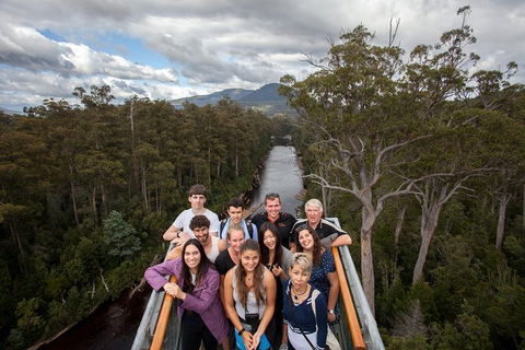 Tahune Airwalk Active Day Trip From Hobart Including Hastings Caves - Accommodation in Surfers Paradise 1