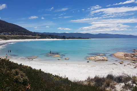 Wineglass Bay Day Tour - Accommodation in Surfers Paradise 3