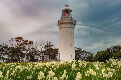 Table Cape Lighthouse Tours - Accommodation in Surfers Paradise 7