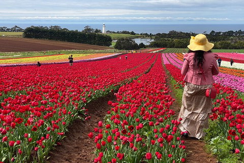 Table Cape Lighthouse Tours - Accommodation in Surfers Paradise 0