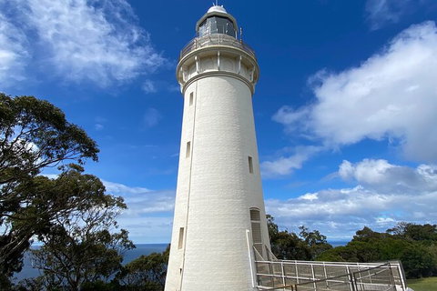Table Cape Lighthouse Tours - Accommodation in Surfers Paradise 4