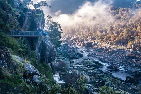 3.5 Hours Walking Tour To Cataract Gorge With Local Guide - Accommodation in Surfers Paradise 0