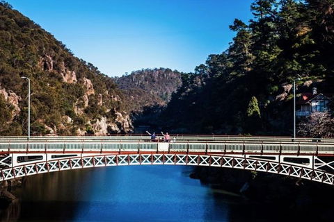 3.5 Hours Walking Tour To Cataract Gorge With Local Guide - Accommodation in Surfers Paradise 5