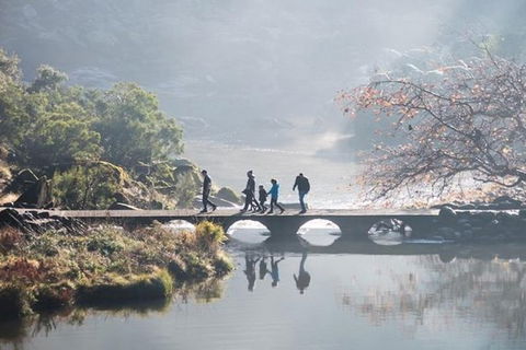 3.5 Hours Walking Tour To Cataract Gorge With Local Guide - Accommodation in Surfers Paradise 4