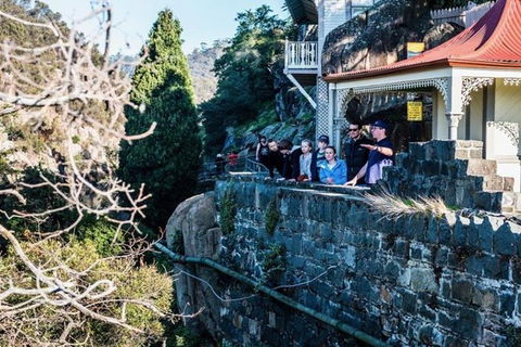 3.5 Hours Walking Tour To Cataract Gorge With Local Guide - Accommodation in Surfers Paradise 3